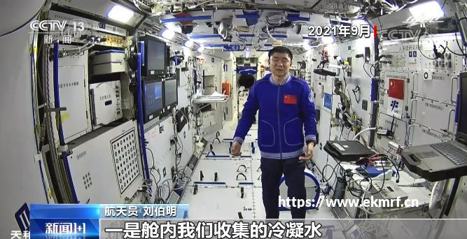 告别孤军奋战！幻想的小窝，QQ 自由幻想玩家的专属成长乐园
